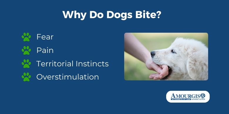 why do dogs bite?